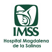 hospital-magdalena-de-la-salinas